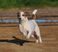 /album/fotogalerie-sport/appu-bezi-jpg/